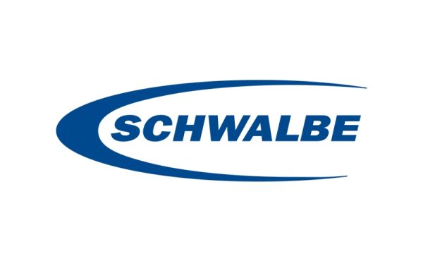 Schwalbe - Lindenholz